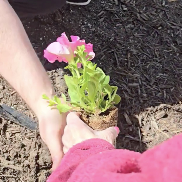 A caring volunteer assists memory care residents in gardening, bringing joy and connection to their lives.