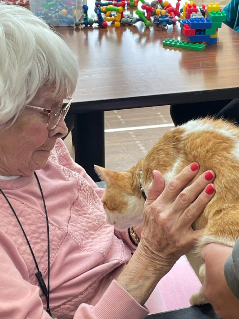 An elderly woman is gently petting a cat, supported by a caring volunteer.